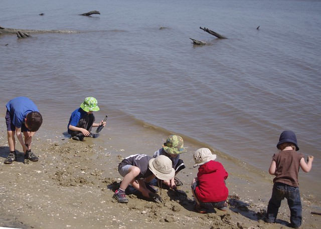Fossil Frenzy is a fun way to play in the waters of the York River State Park, Va