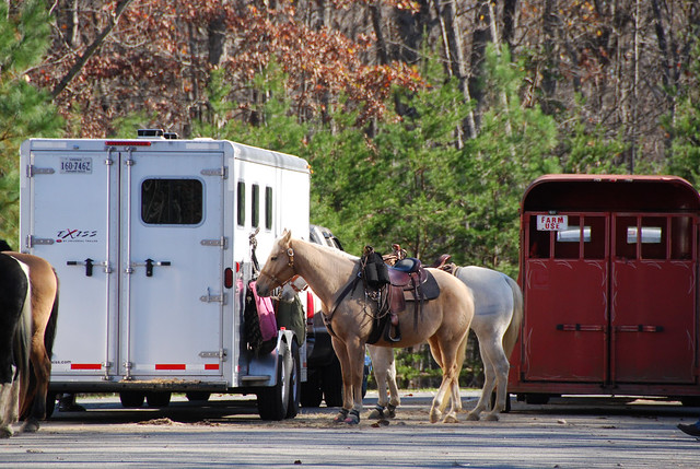 Lake Anna State Park has popular riding trails and ample parking for trailers