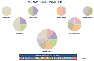Ancestry Pie 2 Generation Sample