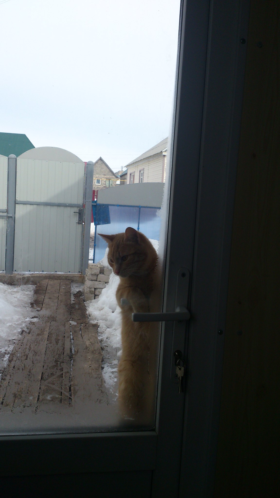 А ваш кот умеет так на ручке двери висеть?)) 
