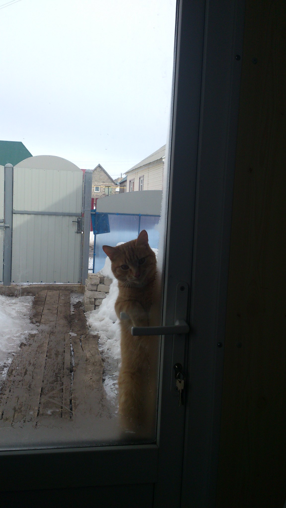 А ваш кот умеет так на ручке двери висеть?)) 