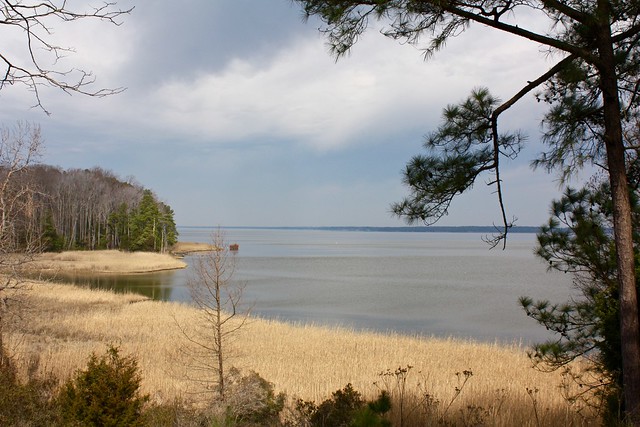 There are amazing vantage points along some of the trails at York River State Park, Virginia