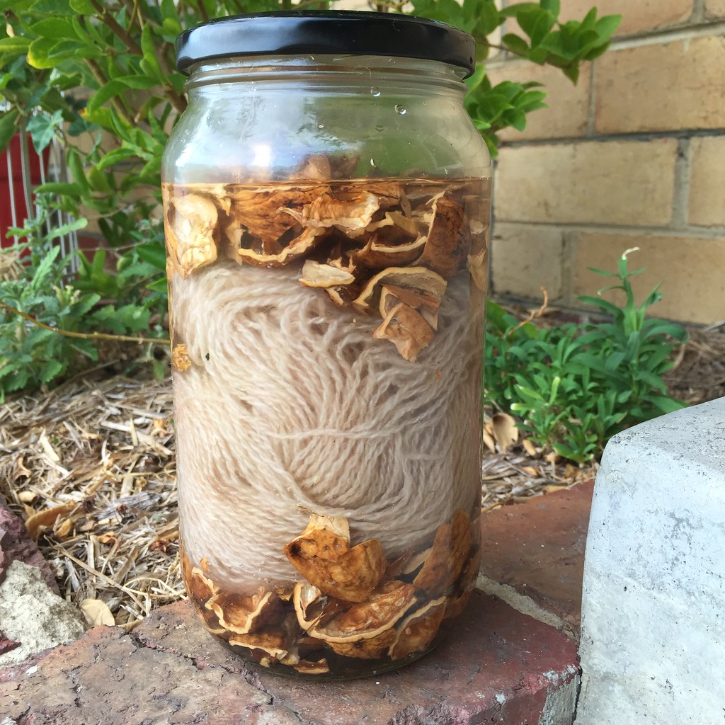a jar of walnut shells and a skein of yarn, sitting in a sunny place to solar dye