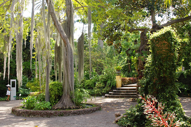 Entrance, Botanico Gardens, Puerto de la Cruz, Tenerife