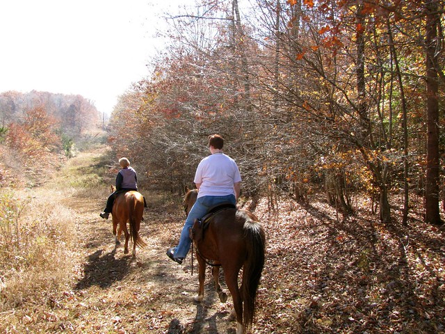 Fond memories of riding our horses at Lake Anna State Park in Virginia