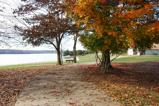 Enjoy the leafy off season at Lake Anna State Park, Virginia