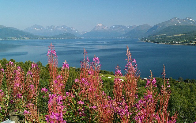 NORTE DE NORUEGA Y STAVANGER - Blogs de Noruega - Camino a las Lofoten (2)