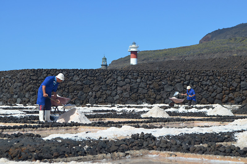 Harvesting the salt, Las Salinas, Fuencaliente, La Palma