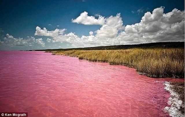 Mysterious lakes in Australia by salt-loving microorganisms turn pink