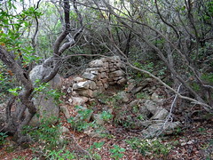 Ruines de caseddi sur le sentier de la Testa di a Carpiccia