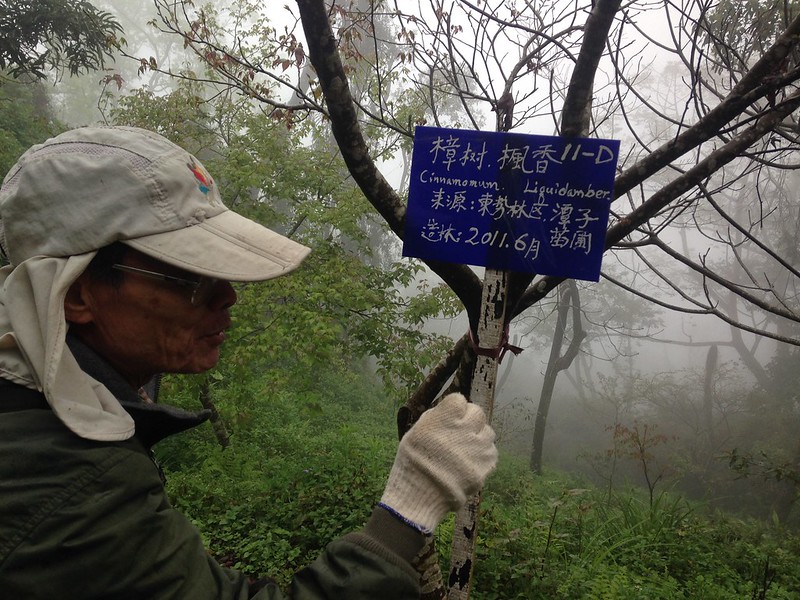 興大森林系退休教授羅紹麟。攝影：廖靜蕙