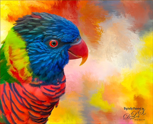 Painted image of a Rainbow Lorikeet or Parrot