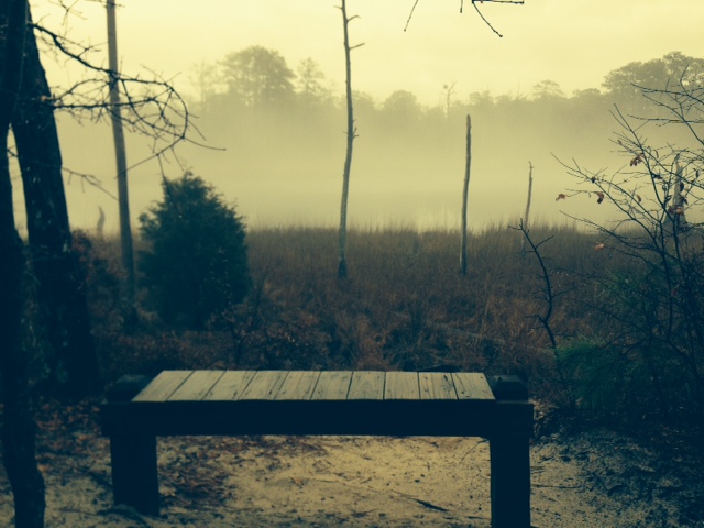 Enjoy a rest stop along a trail at First Landing State Park, Virginia