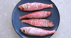  Red mullet