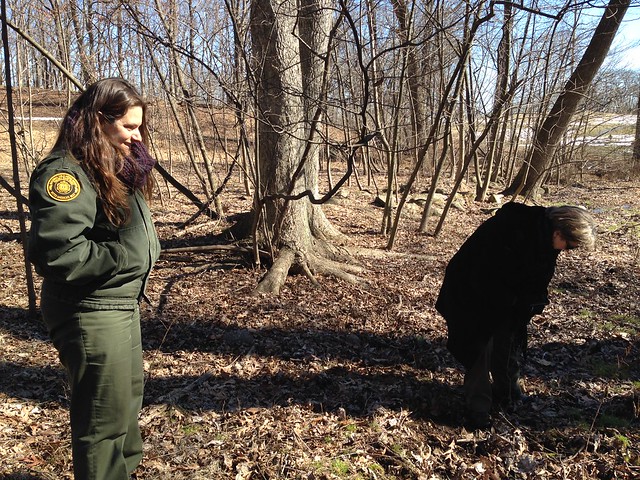 Rangers looking for Skunk Cabbage at Sky Meadows State Park in Virginia