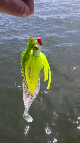 Bucktail lure and sea lettuce, photo by Rich Watts