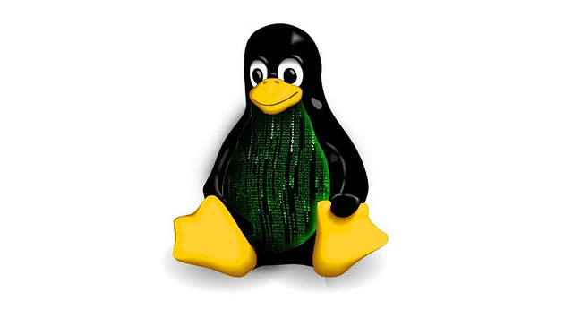  kernel-linux-4.jpg