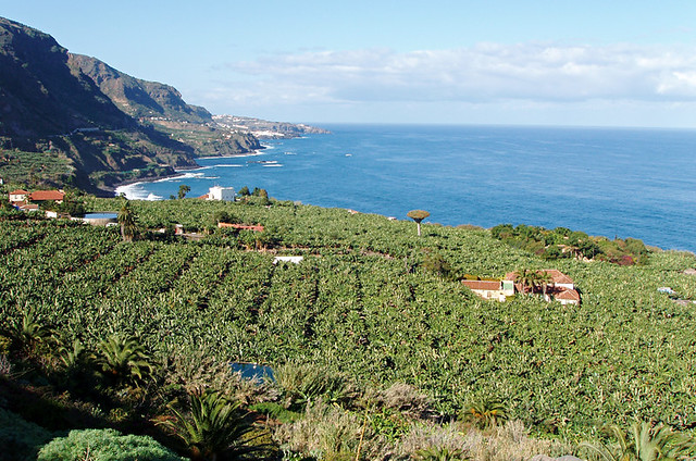 North coast, Tenerife