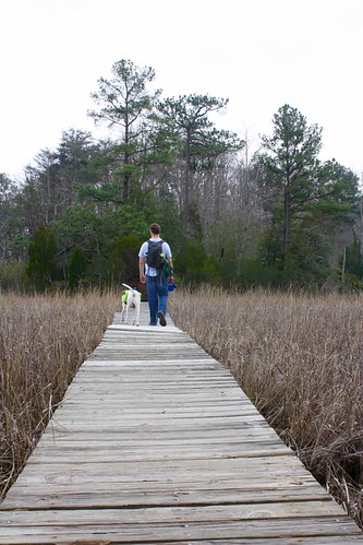 We loved the boardwalks over the marsh at York River State Park in Virginia