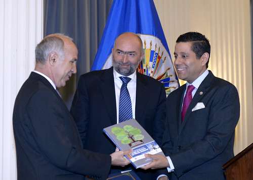 OAS Designated Four Judges as Goodwill Ambassadors for Environmental Justice in the Americas