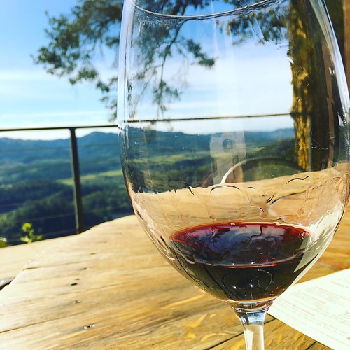 Vaider Winery view