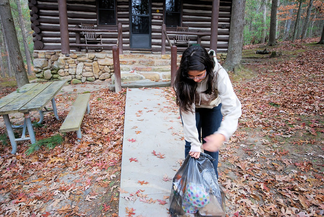 Taking the trash with you helps park staff immensely and it is simply a nice thing to do - this is cabin 2 at Douthat State Park, Virginia