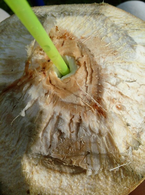 coconut texture
