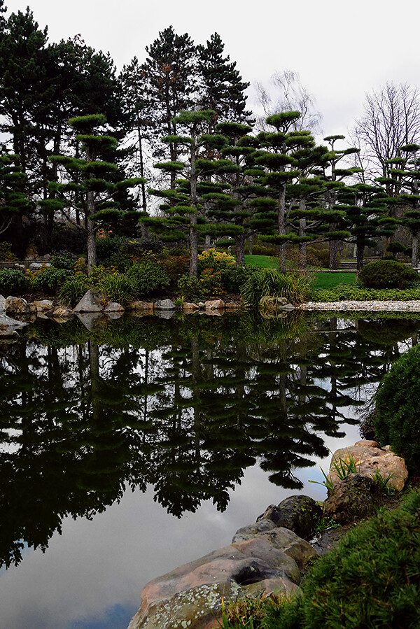 japanilainen puutarha