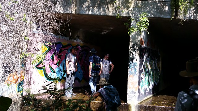 fairy creek tunnel