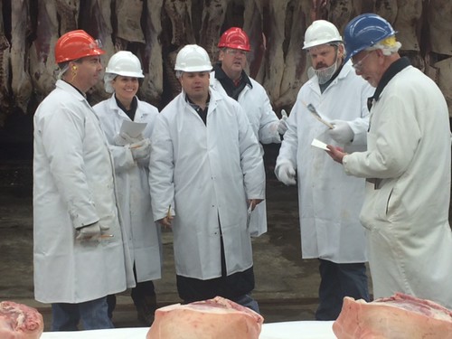 Meat graders discussing the meat in front of them