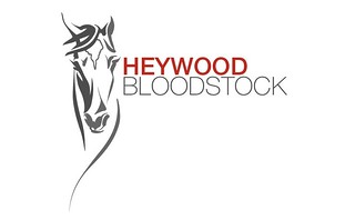 Heywood Bloodstock Logo