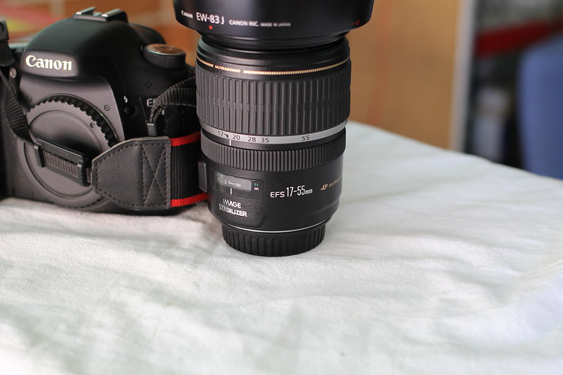 Canon 7D Lens 17-50mm F2.8 King of crop - 2