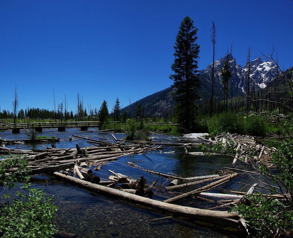 String Lake Trail (crosses outlet of String Lake on bridge in picture), Grand Teton National Park, Wyoming, July 15, 2010 (Pentax K10D)