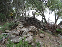 Ruines de caseddi sur le sentier de la Testa di a Carpicciau