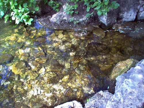 Image shows a small, narrow stretch of water running between travertine banks. Small brownish-white limestone rocks make up the floor, easily visible under the marvelously clear water. Leafy green plants flourish on the banks.