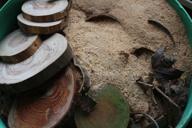 善加利用清理的枯枝倒木所剩的木削，煙燻來驅趕蚊蟲。攝影廖靜蕙