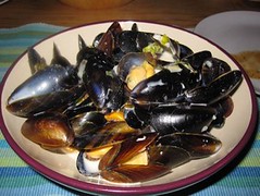 Mussels in creamy sauce