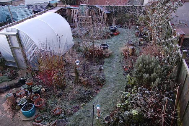 Looking down on the garden from an upstairs window