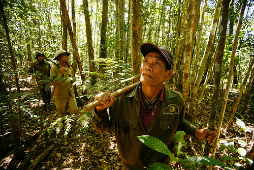 森林巡守員。圖片來源：Asian Development Bank（CC BY-NC-ND 2.0）。 