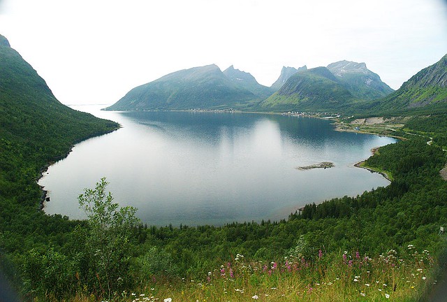 NORTE DE NORUEGA Y STAVANGER - Blogs de Noruega - Camino a las Lofoten (4)