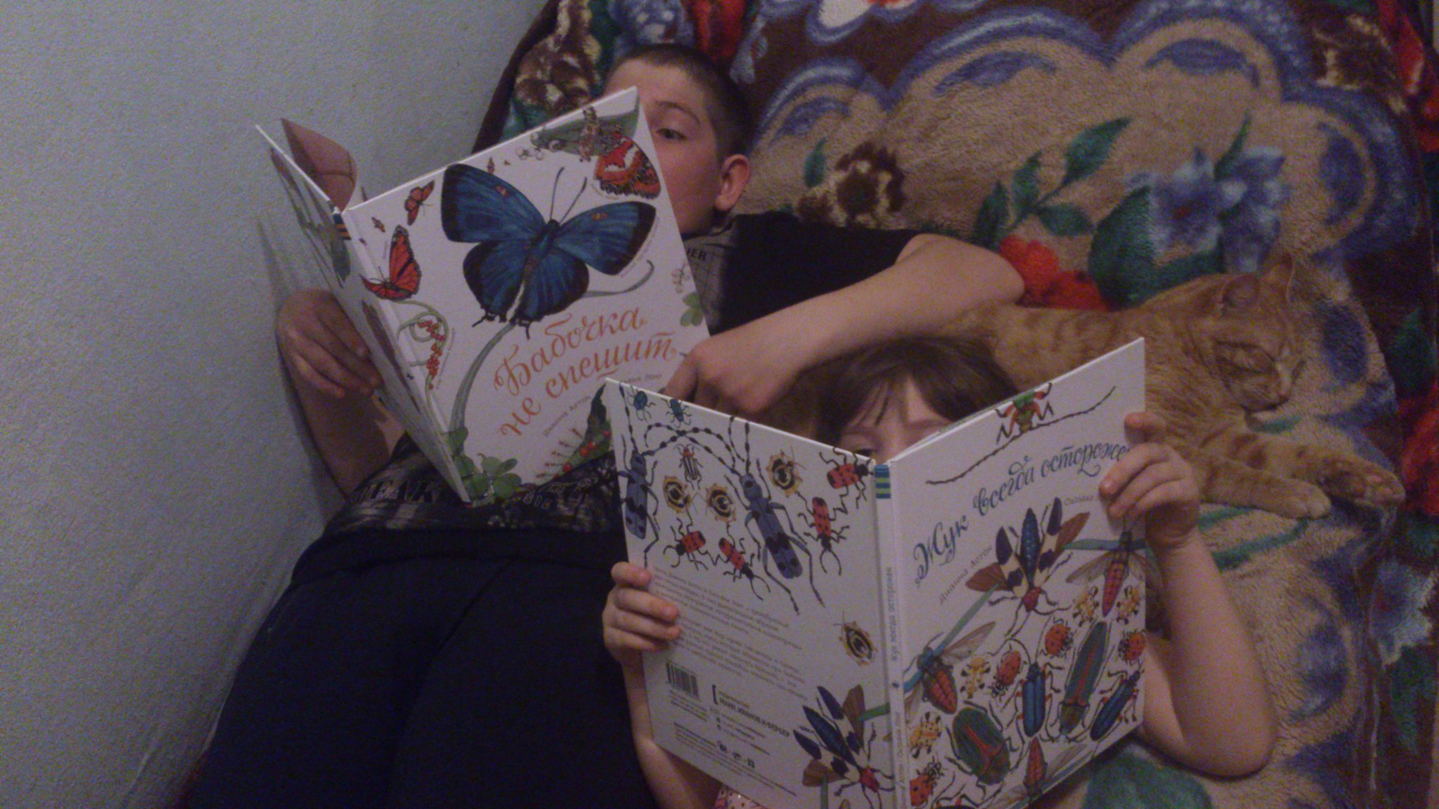Детские книги *Бабочка не спешит* и *Жук всегда осторожен* (Дианна Астон). 