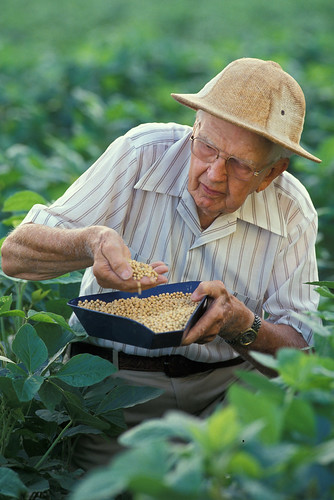 Agronomist Edgar E. Hartwig with soybeans