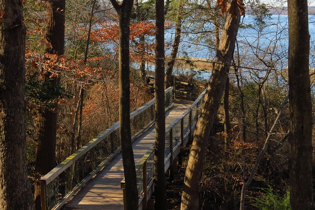 Traipse along the beautiful Bay View Trail at Mason Neck State Park in Virginia