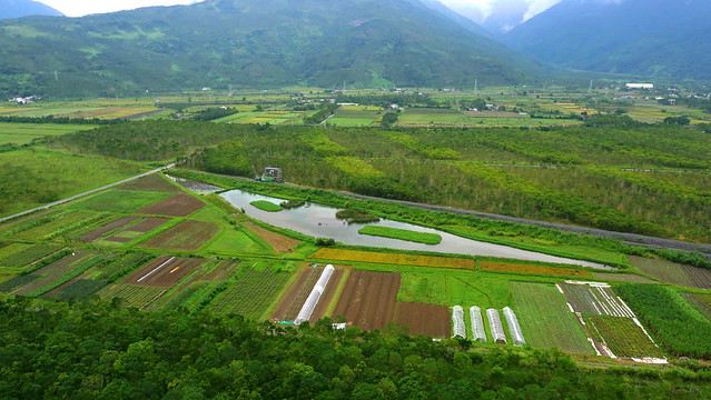 富興農場空中拍攝 見證生態農業之美。照片提供：農委會花蓮區農改場。