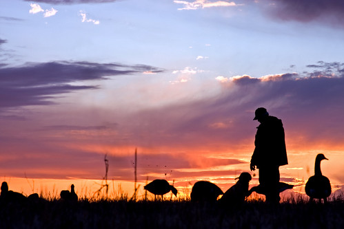 Sunset with decoys and dog. Photo by Larry Hindman