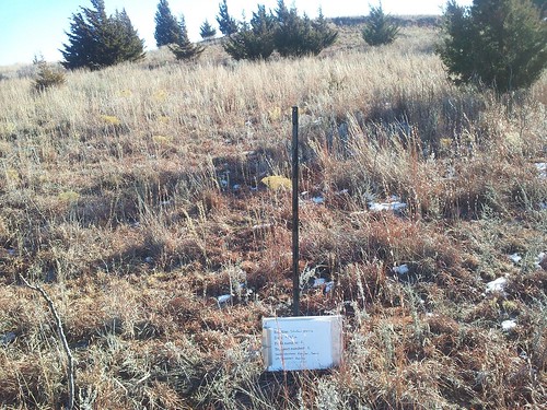 Photo of prairie before redcedars are removed