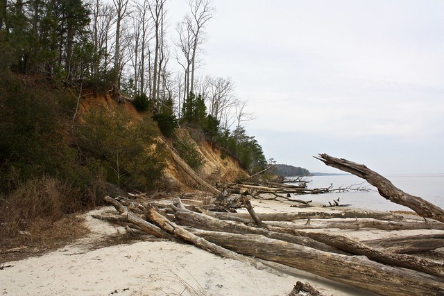 Hike to Fossil Beach at York River State Park in Virginia