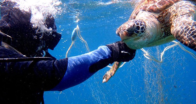 萬里桐的薛教練與助手潛水員無畏海況不佳，仍下海拆除廢棄漁網，後將網具交由墾管處處理。薛教練提供