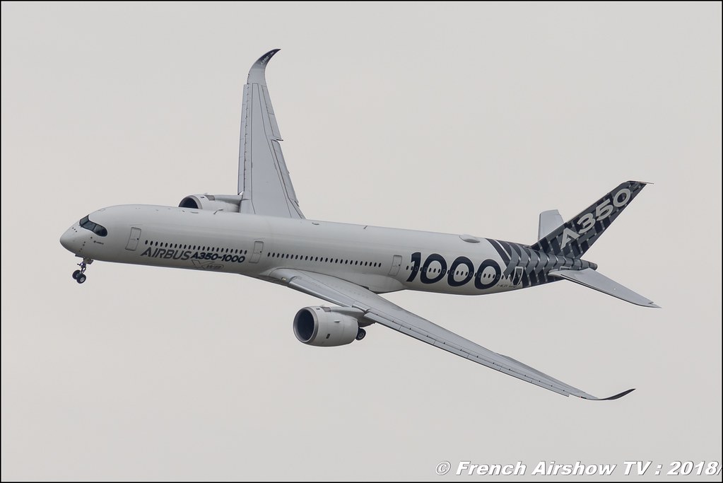 Airbus 350-1000 , Airbus Group , 32e édition d'Airexpo Muret-Lherm , Airexpo Muret 2018 , Canon EOS , Sigma France , contemporary lens , Meeting Aerien 2018