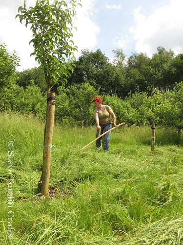 Scything a community orchard in Stockport